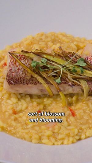 Video post by @foodclubfox on TikTok