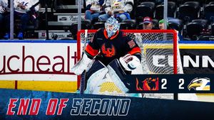 Image post by @Firebirds on Twitter