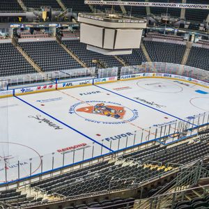 Image post by @swamprabbits on Instagram