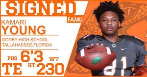 Image post by @famuathletics on Instagram