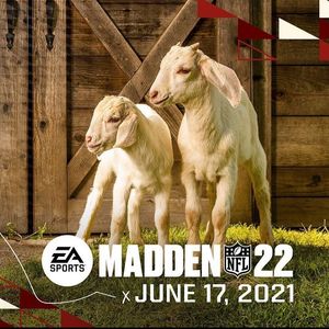 Image post by @nflcanada on Instagram