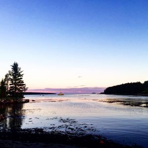 Image post by @themainemag on Instagram