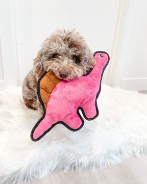Image post by @originalsnugglepuppy on Instagram
