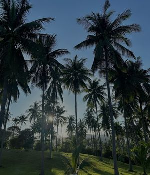 Image post by @tongunnn on Instagram