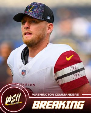 Image post by @wshonthedaily on Instagram