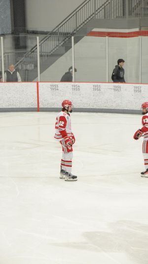 Image post by @placeofpuck on Instagram