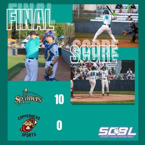 Image post by @mooresvillespinners on Instagram