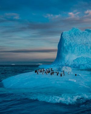 Image post by @sealegacy on Instagram