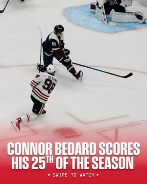 Image post by @nhl on Instagram