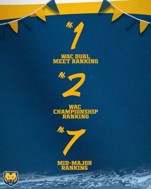 Image post by @uncobearsswim_dive on Instagram