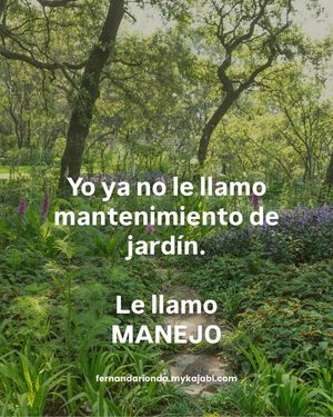 Image post by @fernandarionda on Instagram