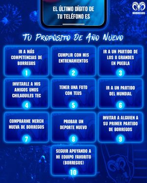Image post by @borregostec on Instagram