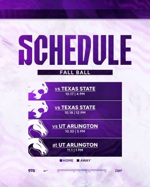Image post by @tcubaseball on Instagram