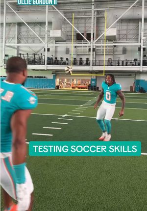 Video post by @miamidolphins on TikTok