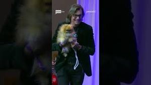 Video post by @peacock on YouTube