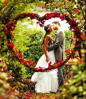 Image post by @honeymoons_viagens on Instagram