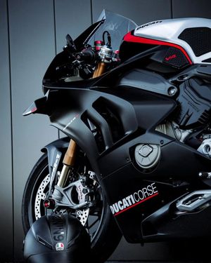 Image post by @panigalers on Instagram