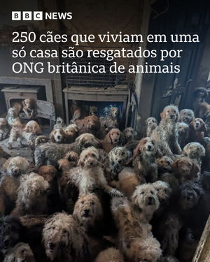 Image post by @bbcbrasil on Instagram