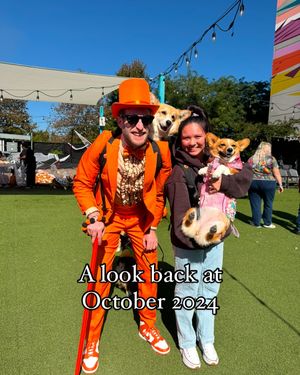 Image post by @ziggy_thecorg on Instagram