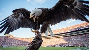 Image post by @auburnalumni on Instagram