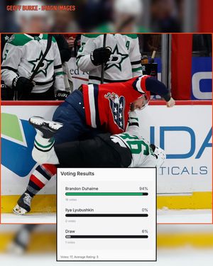 Image post by @hockeyfights on Instagram