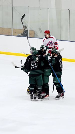 Video post by @fschockey on TikTok