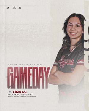 Image post by @nmstatesoftball on Instagram