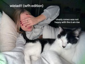 Video post by @c_silv3r on TikTok