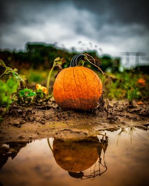 Image post by @stantonhunterphoto on Instagram