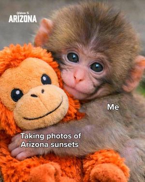 Image post by @welcometoarizona on Instagram