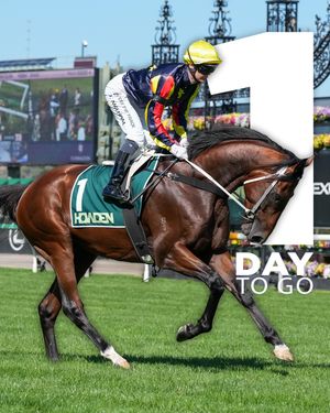 Image post by @flemingtonvrc on Instagram