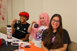 Image post by @lsusouthwest on Instagram