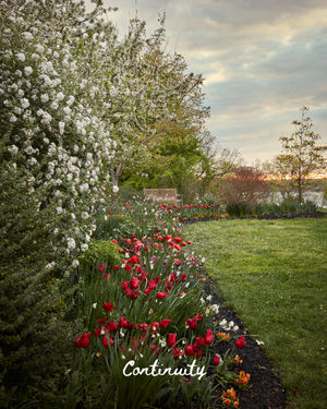 Image post by @ahs_gardening on Instagram