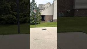 Video post by @dreffects on YouTube