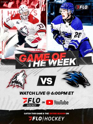Image post by @flohockey on Instagram