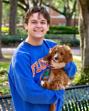 Image post by @uflorida on Instagram