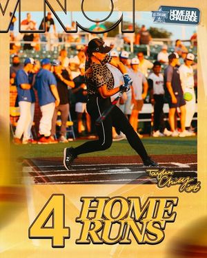Image post by @honeybeessoftball on Instagram