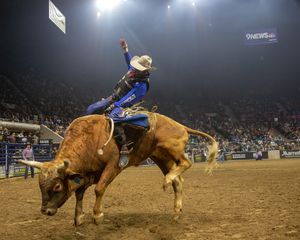 Image post by @nationalwestern on Instagram