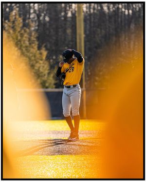 Image post by @djerchower.photo on Instagram