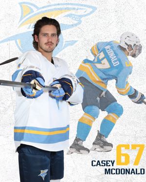 Image post by @liumhockey on Instagram