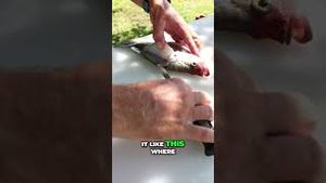 Video post by @lakeforkguy on YouTube
