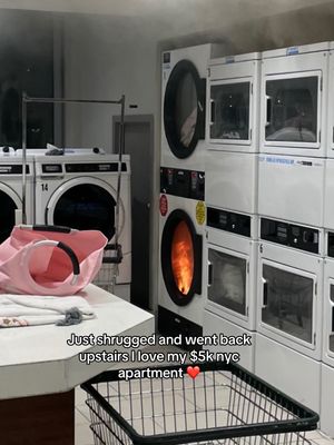 Video post by @dinapalevic on TikTok