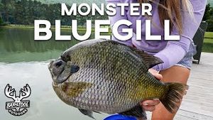 Video post by @barstooloutdoors on YouTube