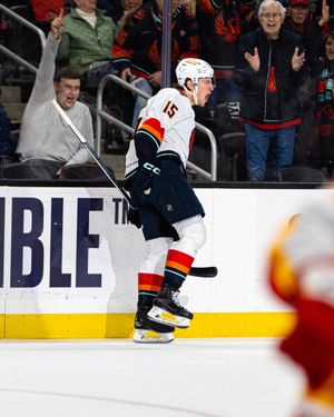 Image post by @firebirds on Instagram