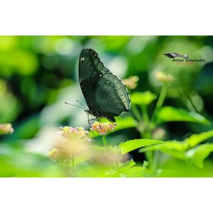 Image post by @aditya8gr8 on Instagram