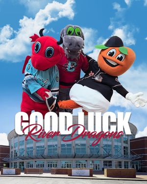 Image post by @goclingstones on Instagram