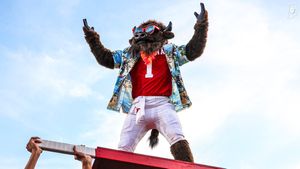 Image post by @HoosiertheBison on Twitter