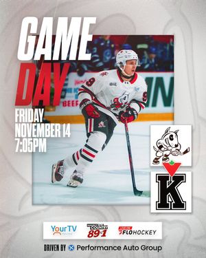 Image post by @ohlicedogs on Instagram