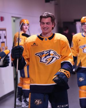 Image post by @predsnhl on Instagram