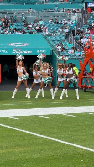 Video post by @dolphinscheer on TikTok